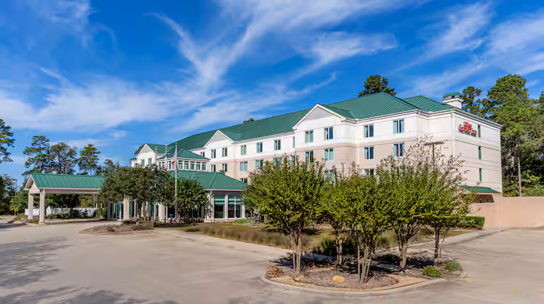 Hilton Garden Inn Houston